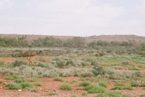 F13000014